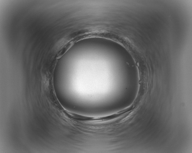 X0000067931257200604171425