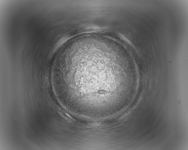 X0000067931259200604171425