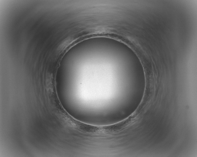 X0000067931265200604171425