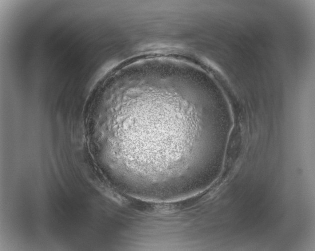X0000067931267200604171425