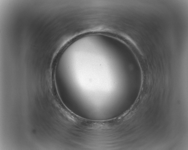 X0000067931270200604171425