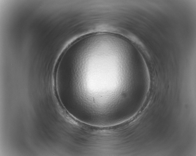 X0000067931280200604171425