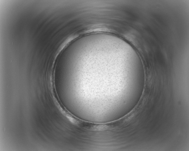 X0000067931282200604171425