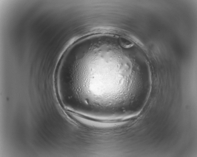 X0000067931283200604171425