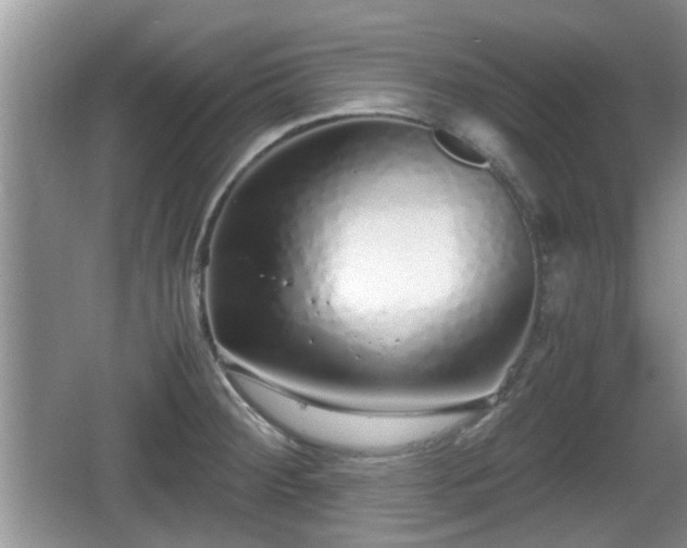 X0000067931284200604171425
