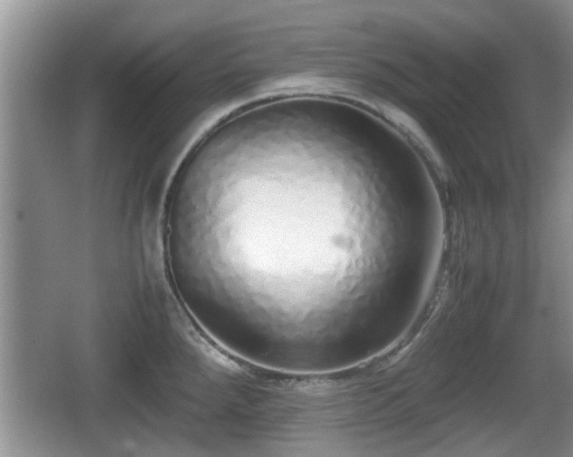 X0000067931288200604171425