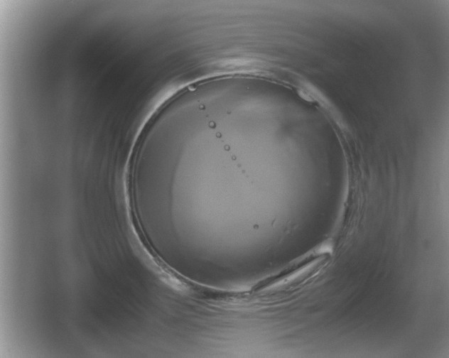 X0000067931291200604171425