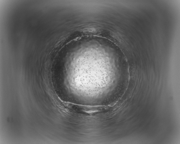 X0000067931297200604171424
