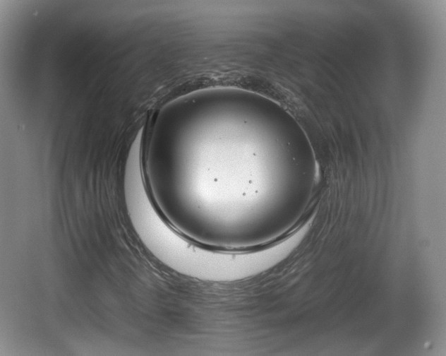 X0000067931298200604171424