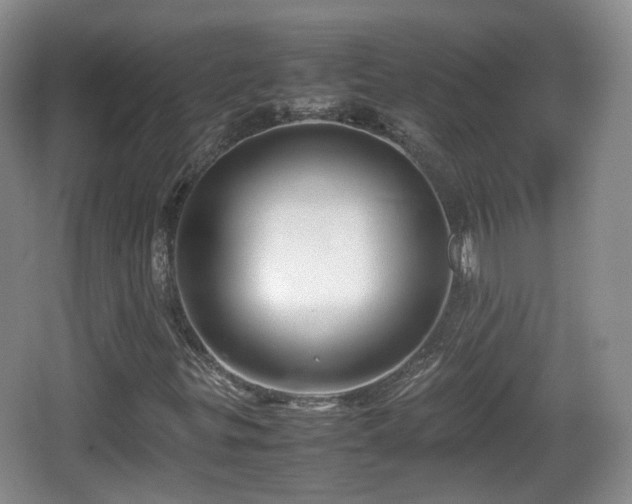 X0000067931299200604171424