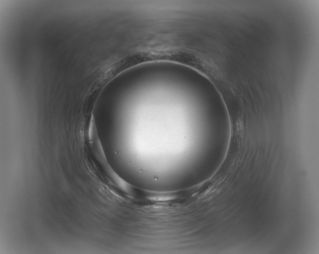 X0000067931300200604171424