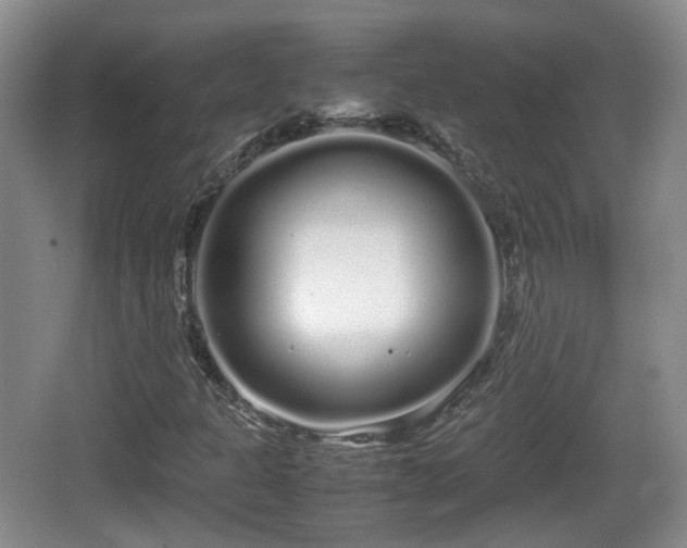 X0000067931301200604171424