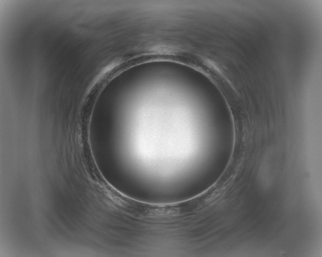 X0000067931307200604171424