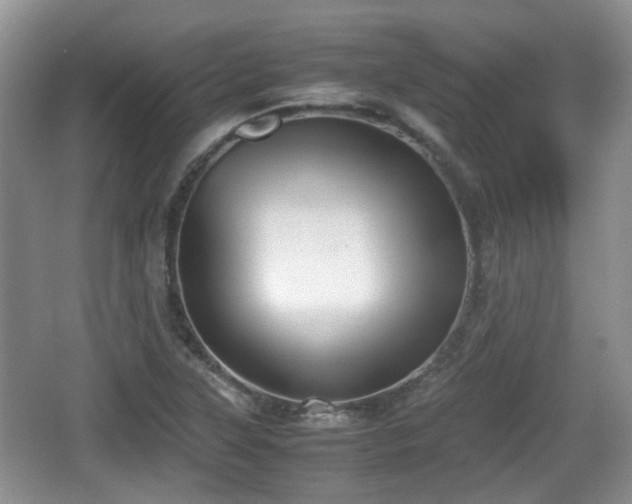 X0000067931315200604171424