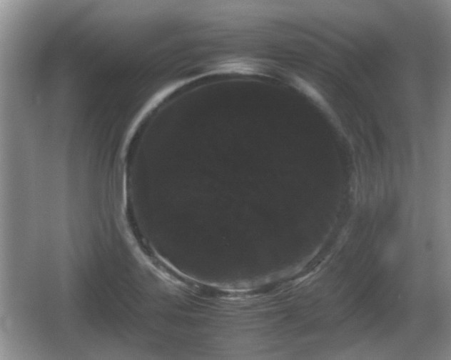 X0000067931323200604171424
