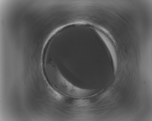 X0000067931327200604171424