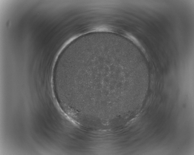 X0000067931331200604171424