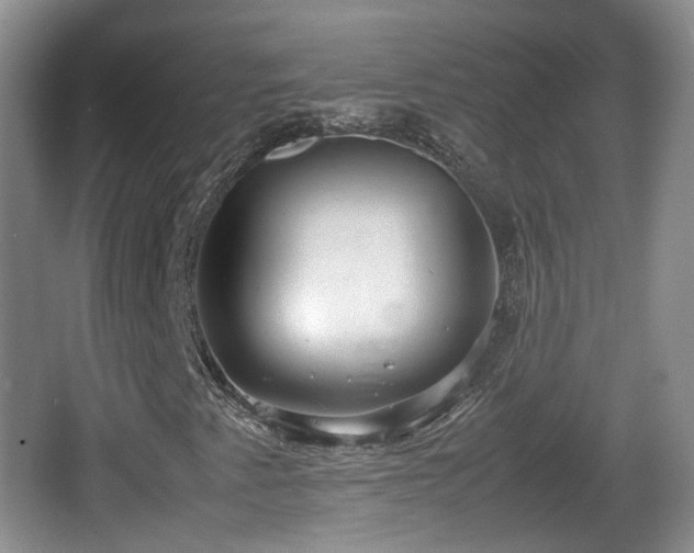 X0000067931345200604171424