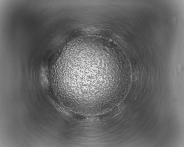 X0000067931346200604171424