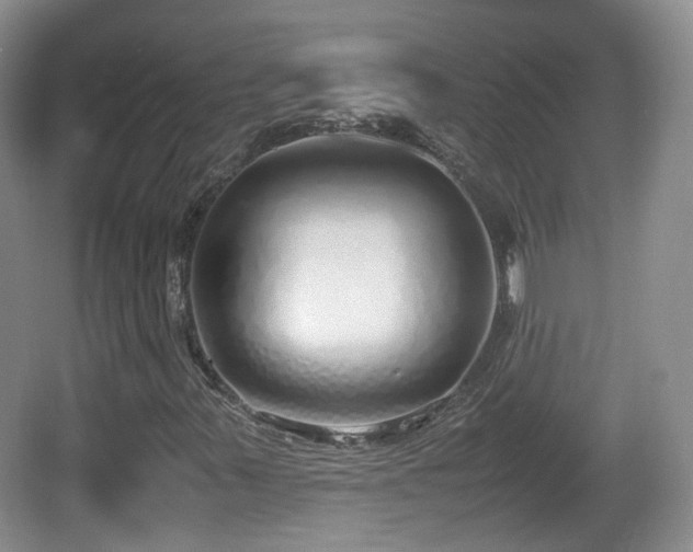 X0000067931347200604171424