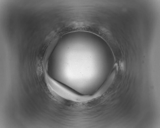 X0000067931348200604171424