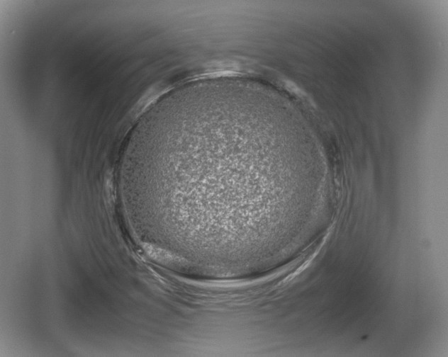 X0000067931353200604171424