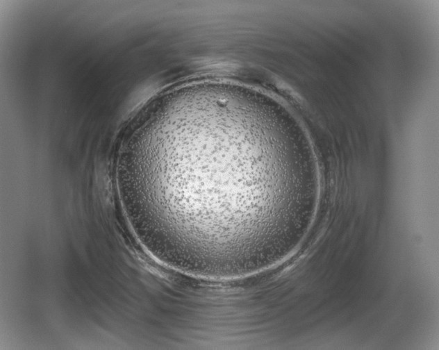 X0000067931354200604171424