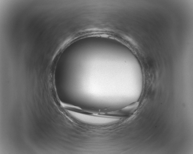 X0000067931357200604171424
