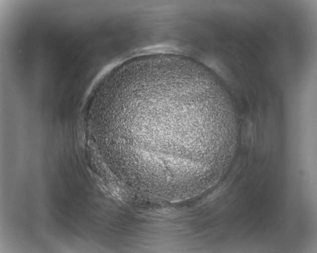 X0000067931358200604171424