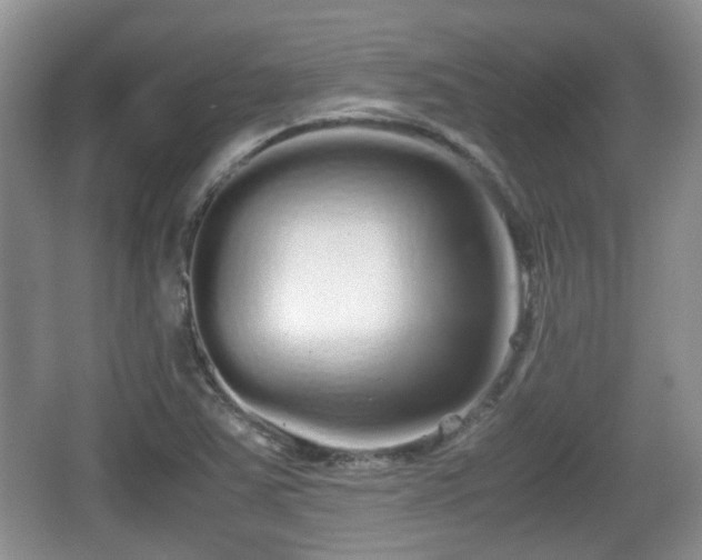 X0000067931363200604171423