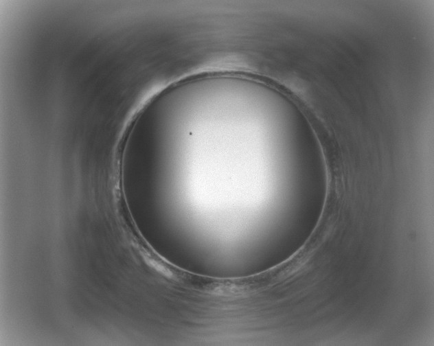 X0000067931366200604171423