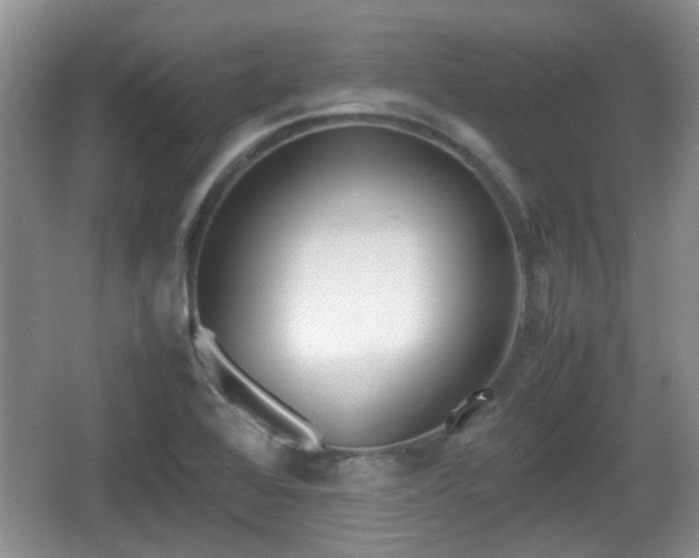 X0000067931368200604171423