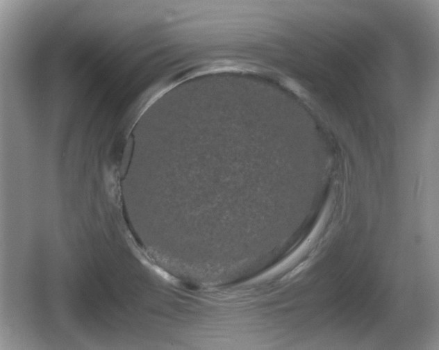 X0000067931369200604171423