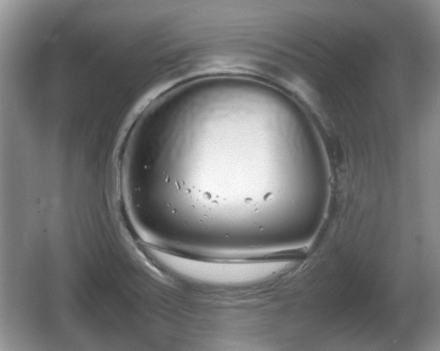 X0000067931371200604171423