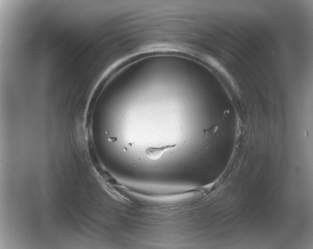 X0000067931372200604171423