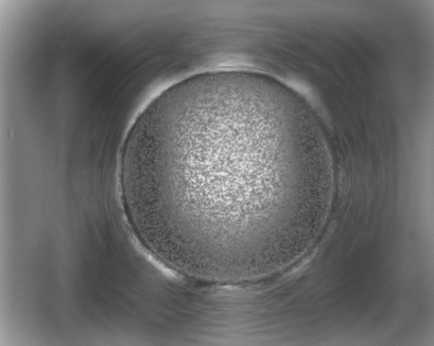 X0000067931374200604171423