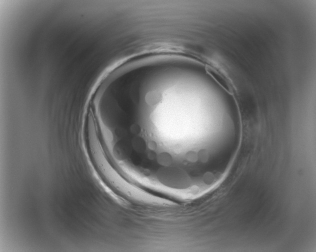 X0000067931379200604171423