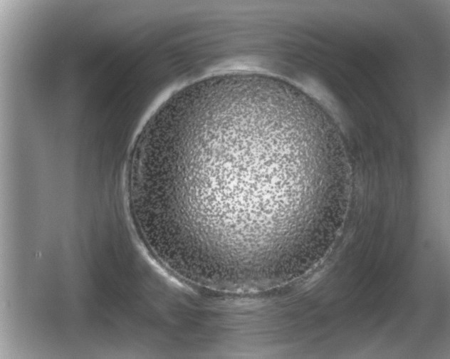 X0000067931382200604171423