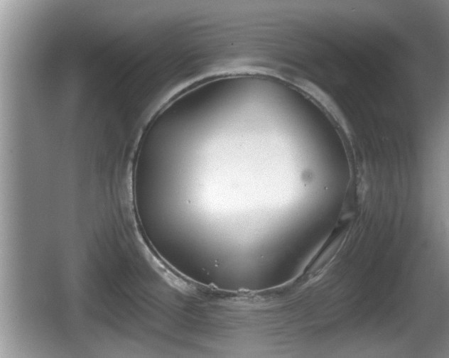 X0000067931388200604171423