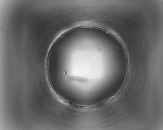 X0000067931392200604171423