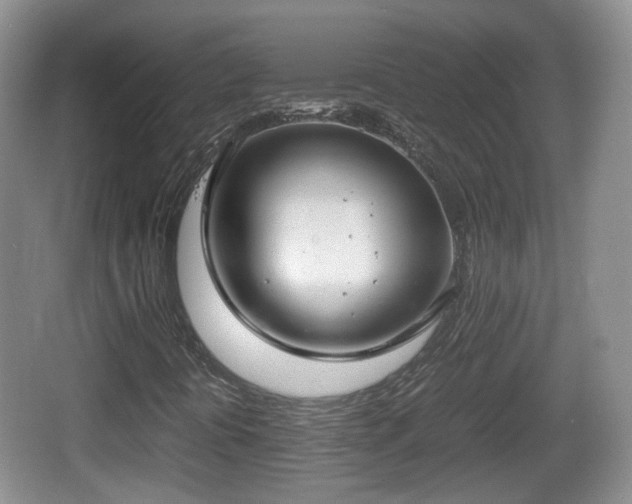 X0000067931394200604171422