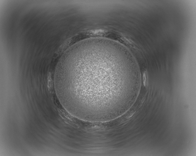 X0000067931395200604171422