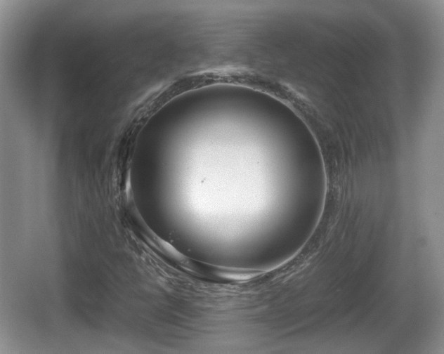 X0000067931398200604171422