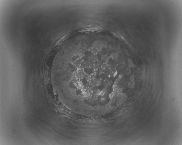 X0000067931399200604171422