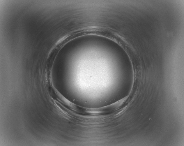 X0000067931402200604171422