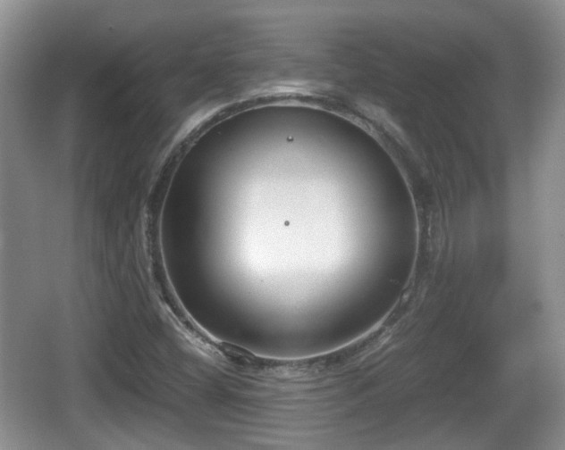 X0000067931404200604171422