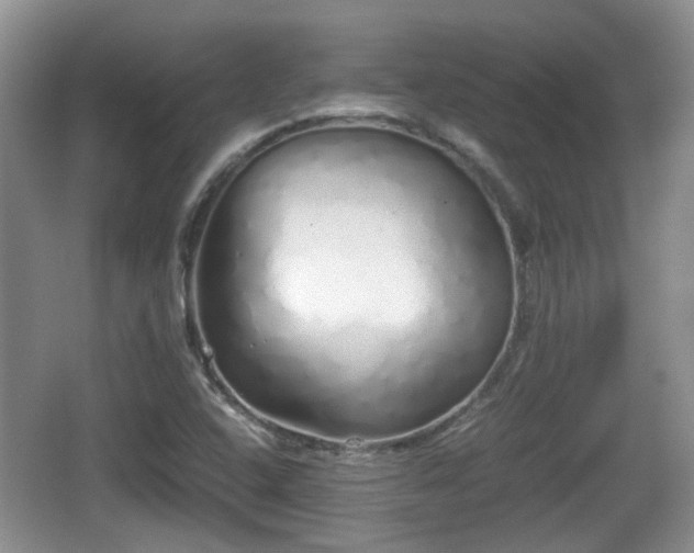 X0000067931408200604171422