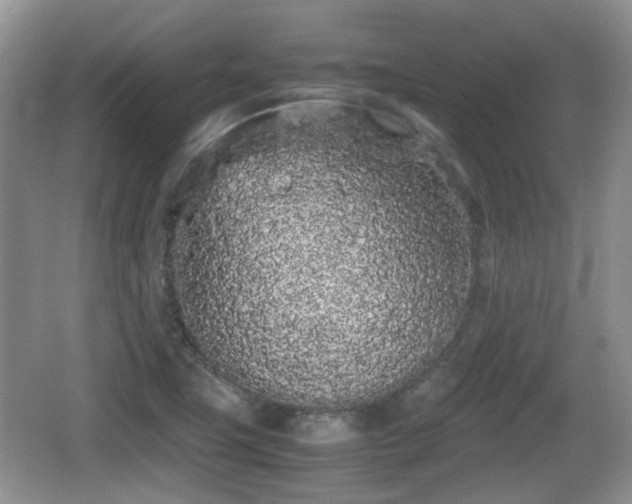 X0000067931411200604171422