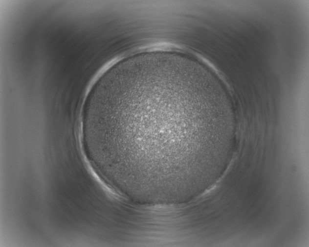 X0000067931418200604171423