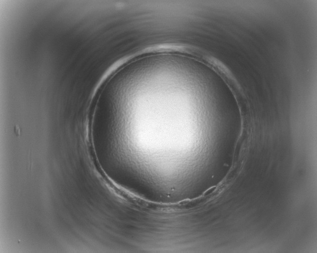 X0000067931420200604171423
